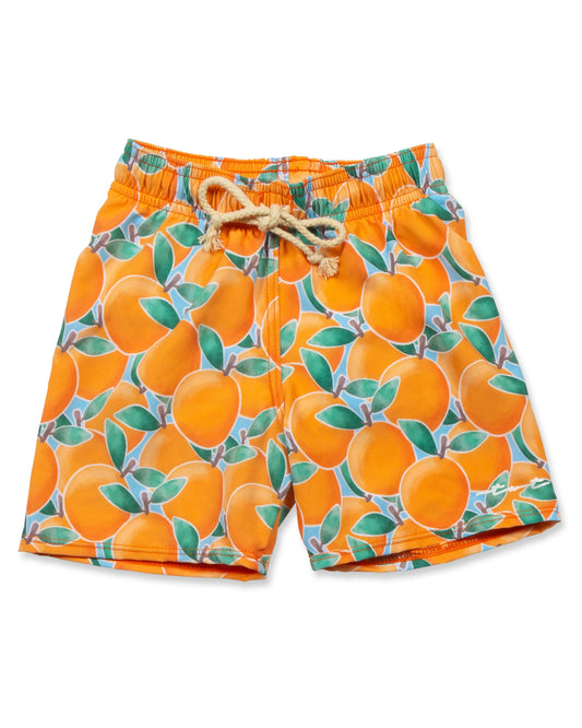 Cute toddler and children's swimwear. Matching sibling swim suit collections. UPF 50 Fabric. Made in the USA!