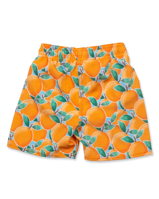 Cute toddler and children's swimwear. Matching sibling swim suit collections. UPF 50 Fabric. Made in the USA!