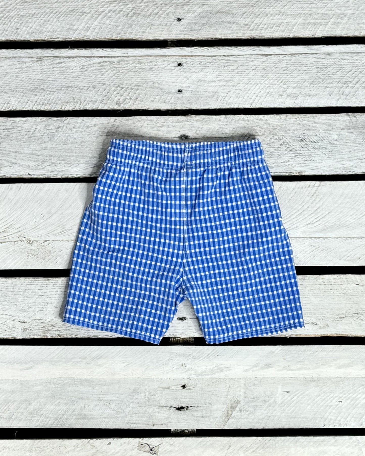 Cute toddler and children's swimwear. Matching sibling swim suit collections. UPF 50 Fabric. Made in the USA!