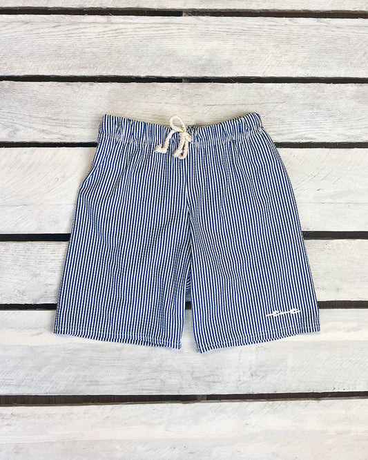 Coastal Seersucker Swim Shorts