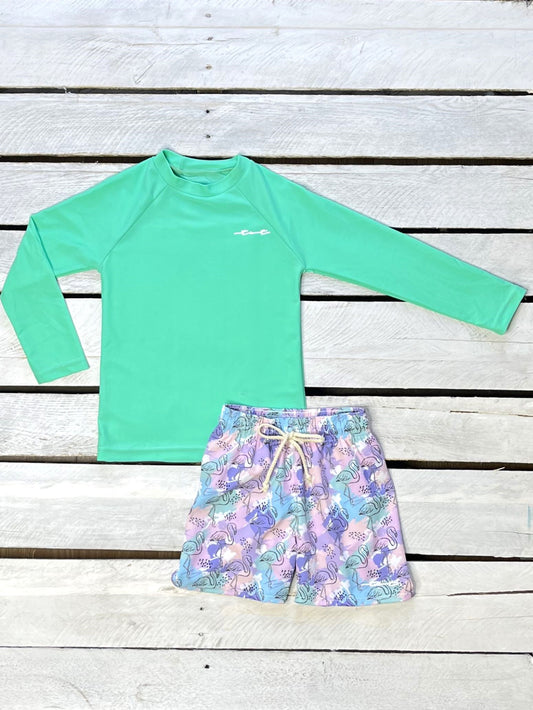 Painted Flamingo Boys Sun Shirt and Swim Trunk Set