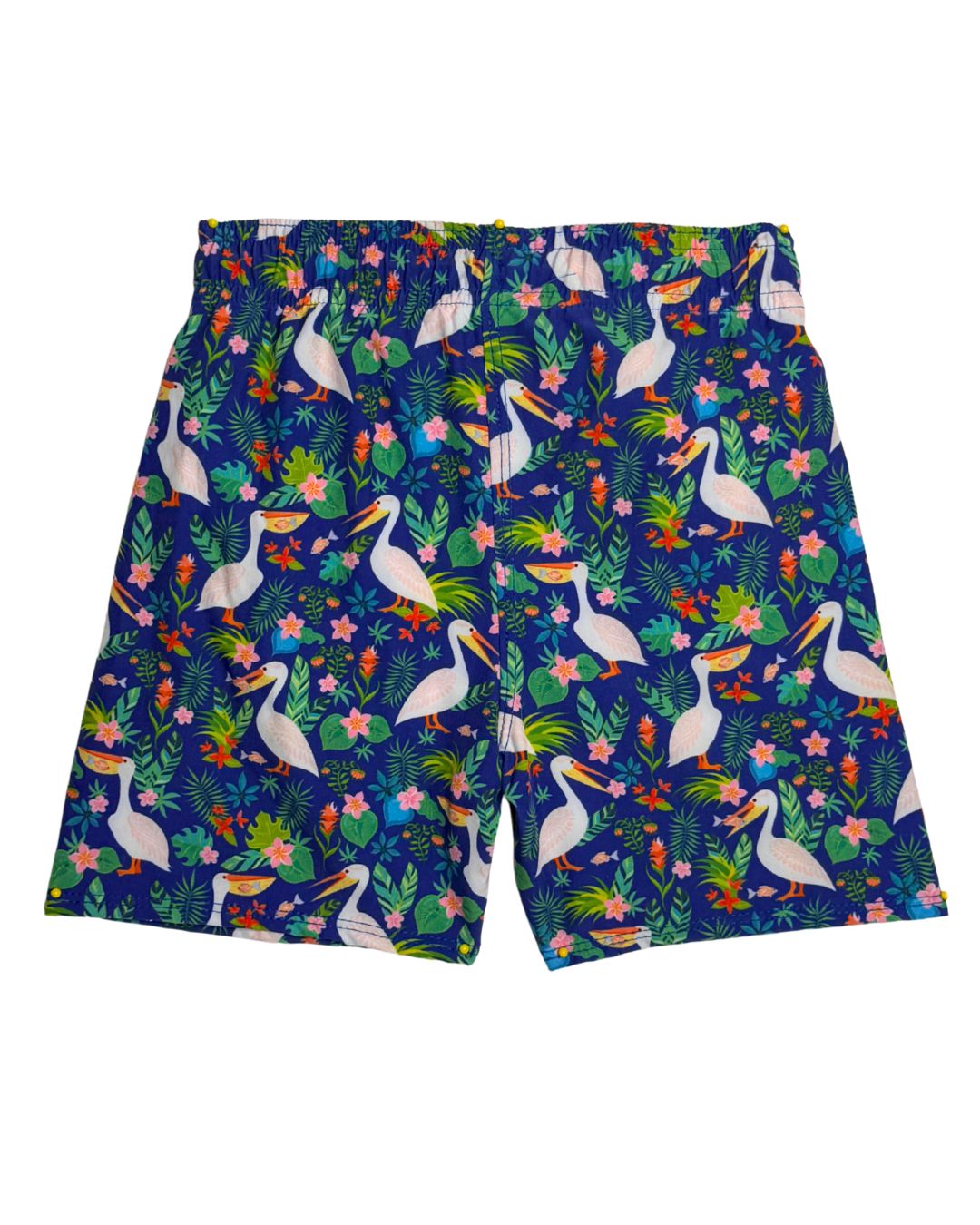 Pelicans in Paradise Swim Trunks