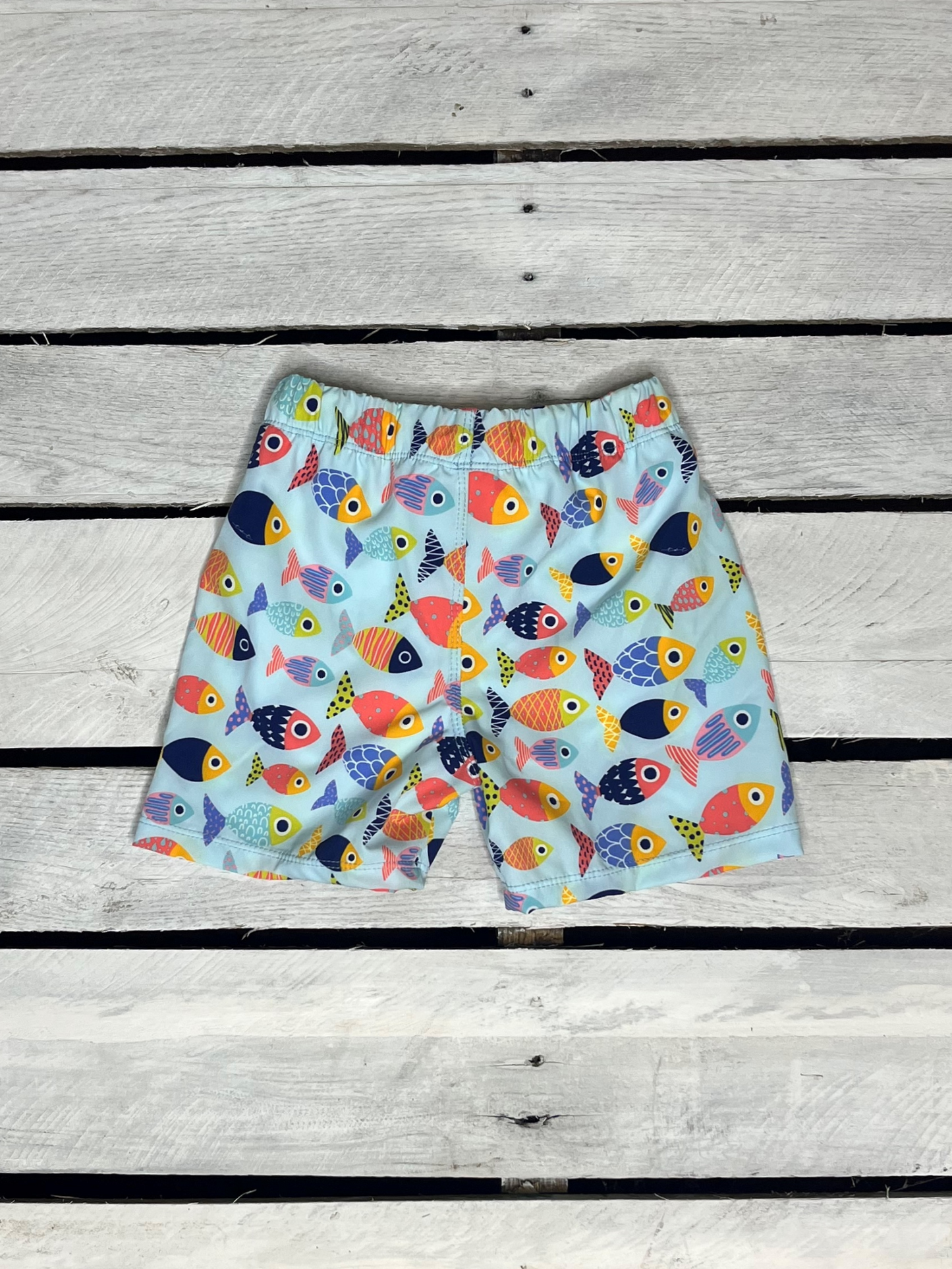 Colorful Fish Swim Shorts