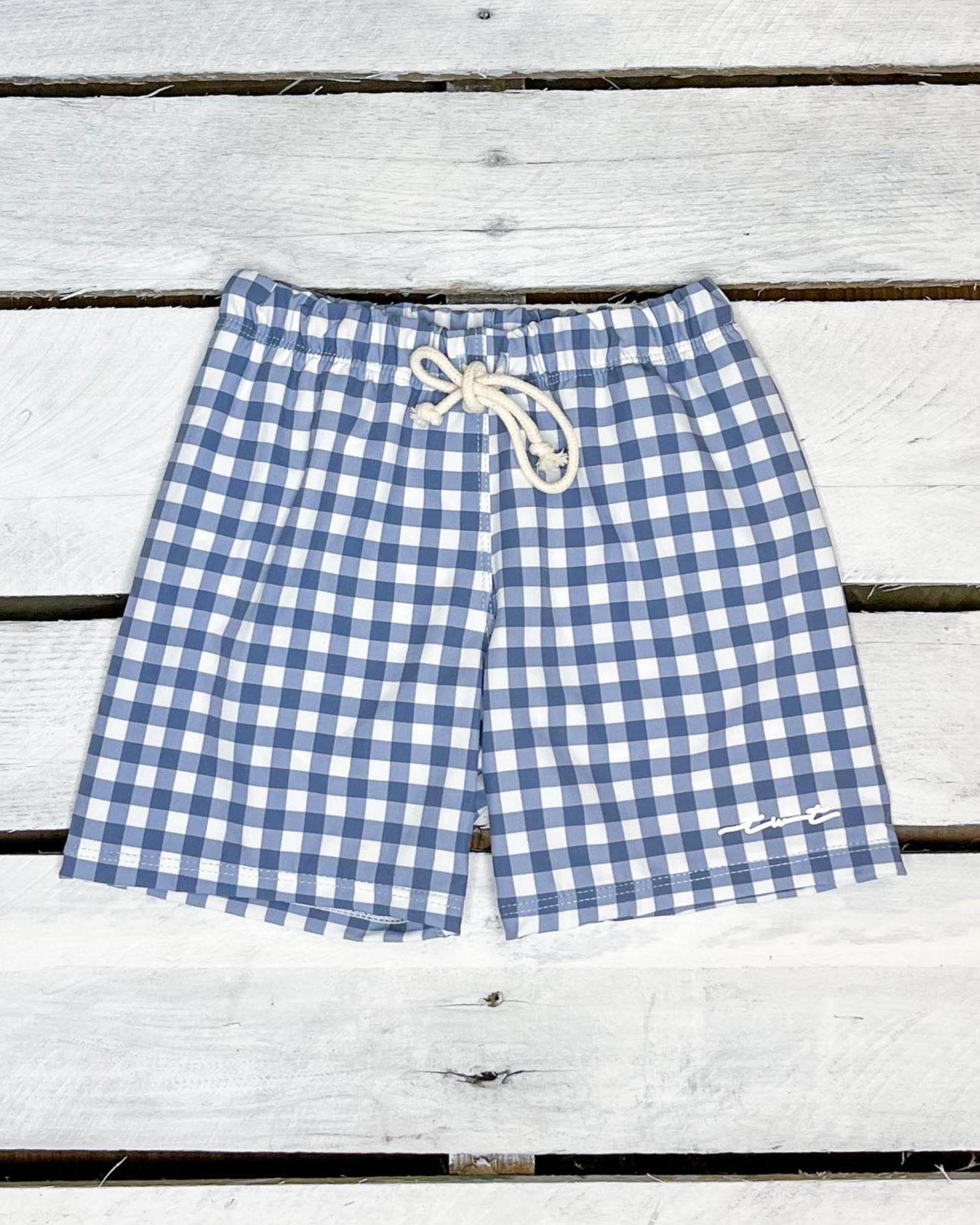 Sea Life Gingham Swim Shorts