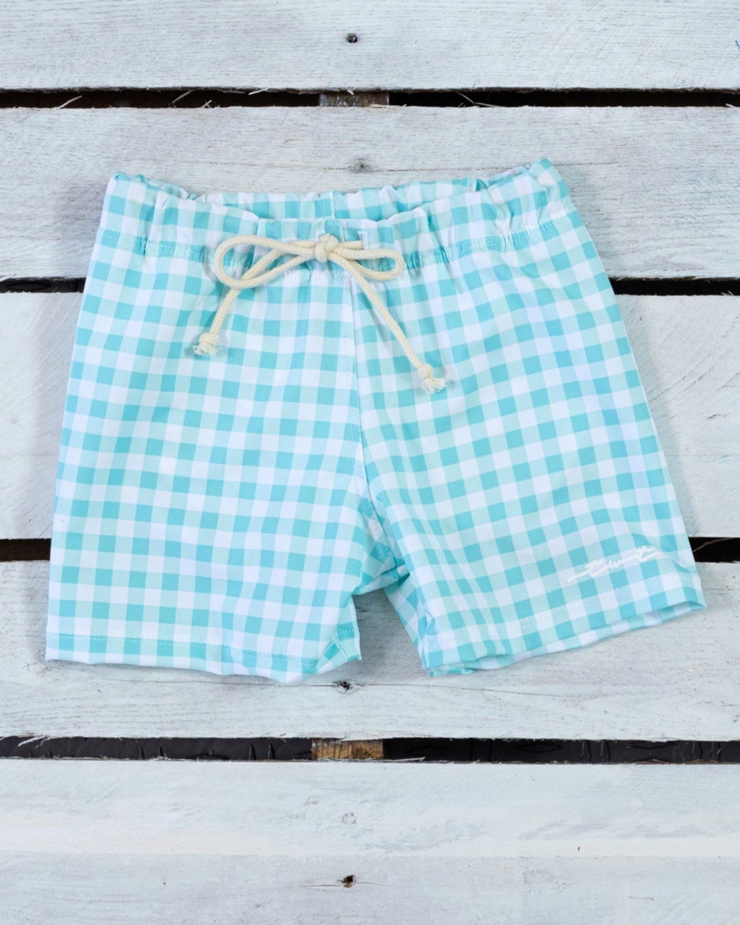 Seafoam Gingham Swim Trunks